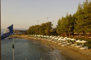 Candia Park Village